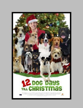 12 kutya egy nap karácsonyig (2014) online film