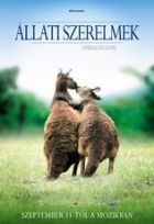 Állati szerelmek (2007) online film