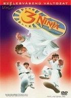 3 nindzsa nem hagyja magát (1995) online film