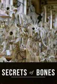 A csontok titkai 1. évad (2014) online sorozat
