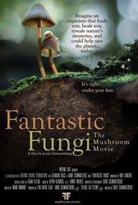 A gombák lenyűgöző világa (2019) online film