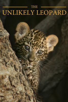 A kétballábas leopárd (2012) online film