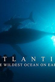 A könyörtelen Atlanti-óceán 1.évad (2015) online sorozat