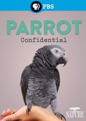 A papagájok titkai (2013) online film