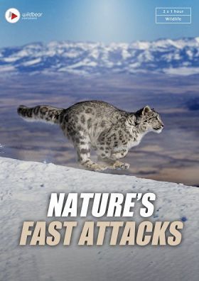 A természet leggyorsabb támadásai(Nature's Fast Attacks) 1. évad (2022) online sorozat