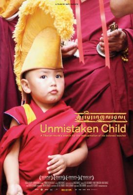 A valódi gyermek (Unmistaken Child) (2008) online film