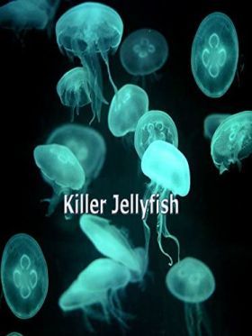A világ leghalálosabb medúzái (2020) online film