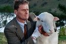 A bárányok harapnak online film