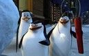 A Madagaszkár-pingvinek és a karácsonyi küldetés (2005) online film