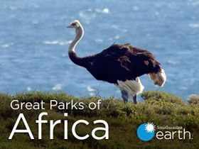 Afrika legszebb nemzeti parkjai 1. évad (2016) online sorozat