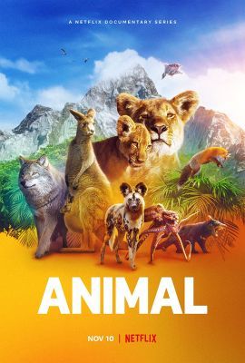 Állati természet 1. évad (2021) online sorozat