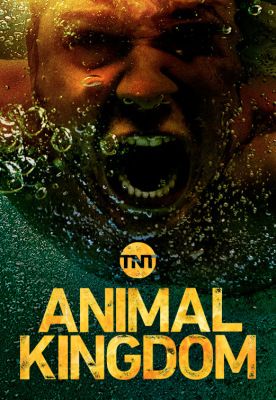 Animal Kingdom 2. évad (2017) online sorozat