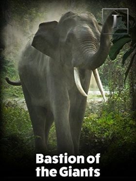 Az ázsiai elefánt - Kaziranga Nemzeti Park (2015) online film