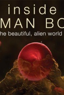 Az emberi test titkai 1 évad