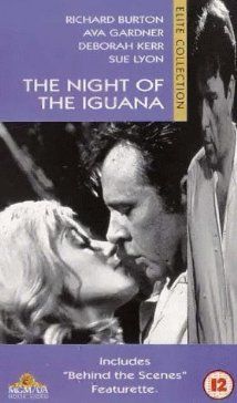 Az iguána éjszakája (1964) online film