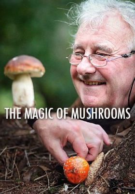 Azok a varázslatos gombák (2014) online film