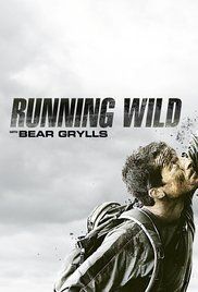 Bear Grylls: Sztárok a vadonban 1. évad (2014) online sorozat