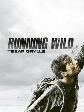 Bear Grylls: Sztárok a vadonban 2. évad (2015) online sorozat