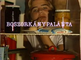 Boszorkánypalánta (1988) online film