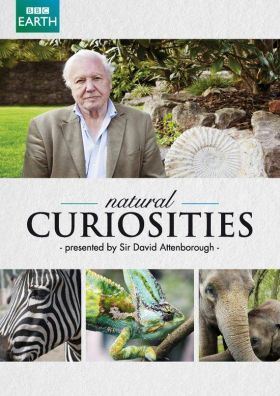 David Attenborough: A természet csodái 1. évad (2013) online sorozat