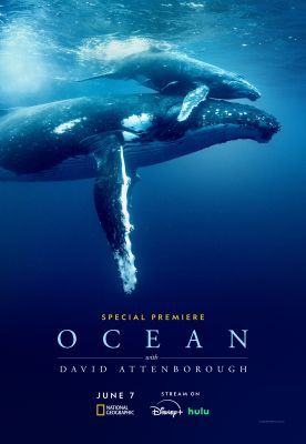David Attenborough: Az óceán csodája (2025) online film