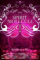A lélek molekulája - DMT: The Spirit Molecule (2010) online film