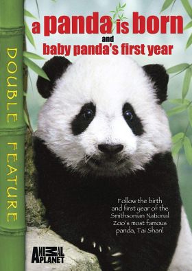 Egy pandabébi első éve (2007) online film