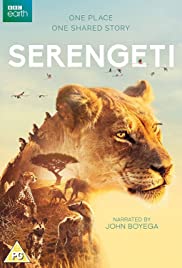 Élet a Serengeti Nemzeti Parkban 1. évad (2019) online sorozat
