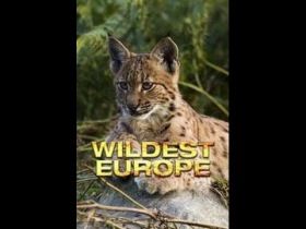 Európa vadonjai 1. évad (2016) online sorozat