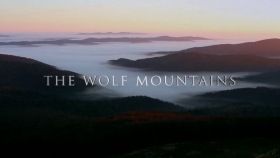 Farkasok hegysége (2013) online film