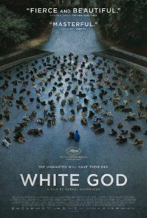 Fehér Isten (2014) online film