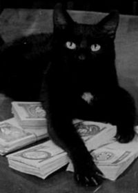 Fekete macska (1972) online film