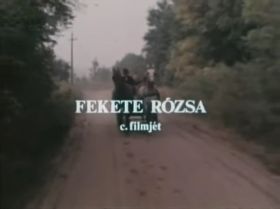 Fekete rózsa (1981) online film