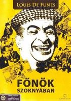 Fönök szoknyában (1964) online film