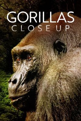 Gorillák vonzásában/Gorillas Close Up (2022) online film