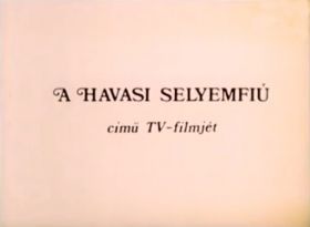 Havasi selyemfiú (1981) online film