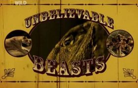 Hihetetlen szörnyek 1. évad (2007) online sorozat