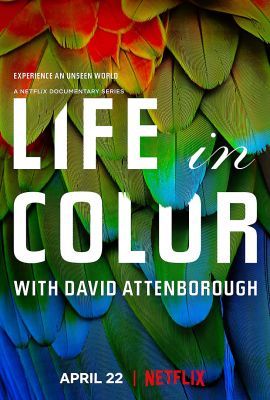 Így készült - David Attenborough Az élet színei (2021) online film
