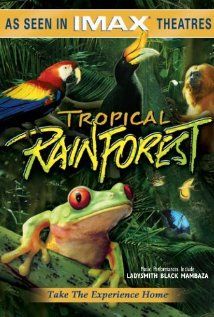 Imax - Trópusi Esőerdő (1992) online film