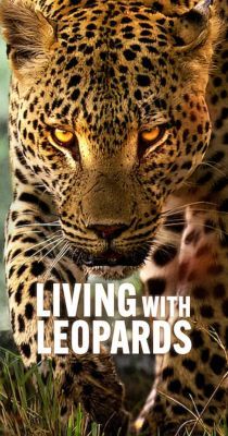 Leopárdok nyomában/Living with Leopards (2024) online film