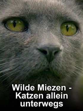 Macskák vadon - Házi cicák, ha kiszabadulnak (2017) online film