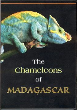 Madagaszkár - A kaméleonok földje (2012) online film