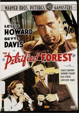 Megkövült erdő (1936) online film