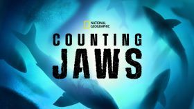 Megszámolni a cápákat / Counting Jaws (2022) online film
