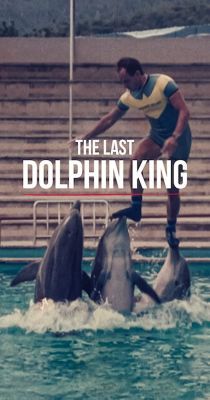 Mi történt a delfinkirállyal? (2022) online film