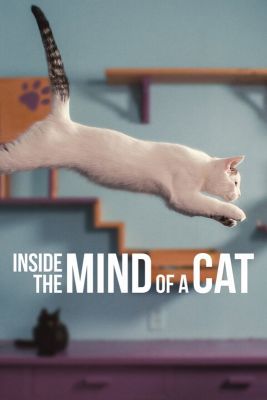 Mit Gondolnak A Macskák (2022) online film