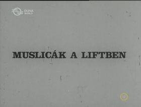 Muslicák a liftben (1978) online film
