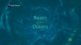 Óceáni áramlatok nyomában (2013) online film