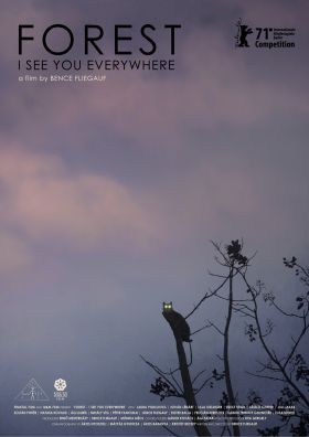 Rengeteg - Mindenhol látlak (Forest: I See You Everywhere) (2021) online film