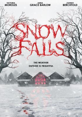 Snow Falls (2023) online film